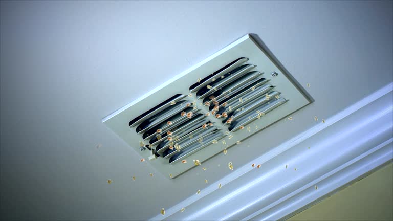Best Residential Air Duct Cleaning  in Whitestown, IN