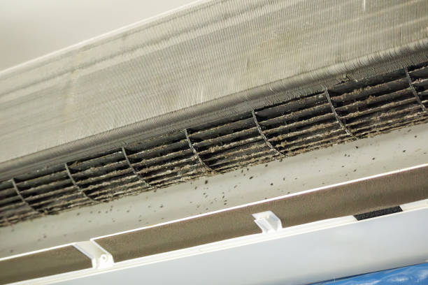 Best Air Duct Sanitizing Services  in Whitestown, IN